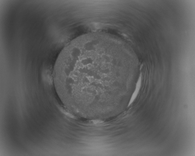 X0000054410719200508121725