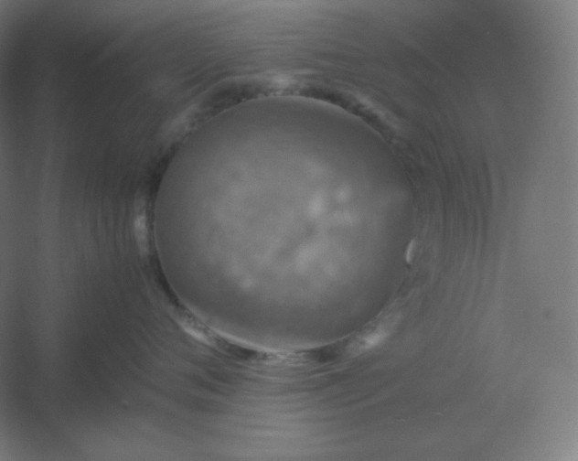 X0000054410720200508121725