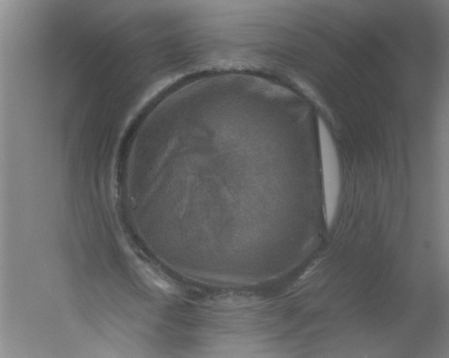 X0000054410722200508121724