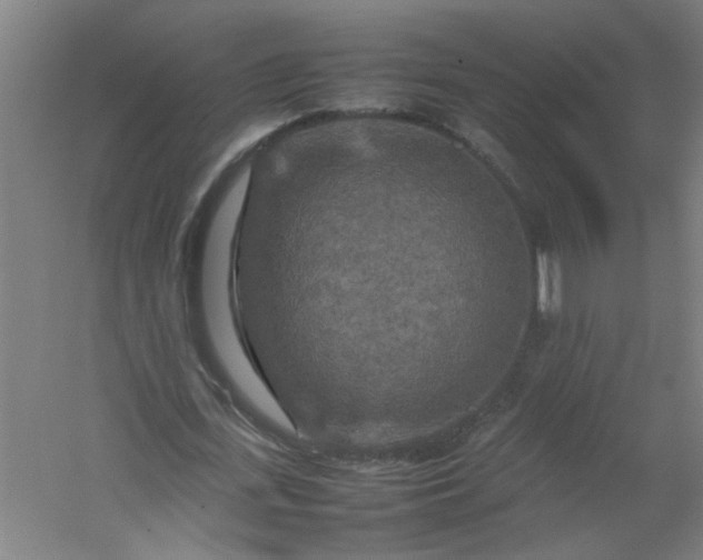 X0000054410723200508121724