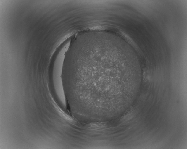 X0000054410725200508121724