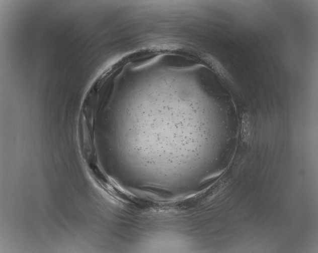 X0000054410726200508121724