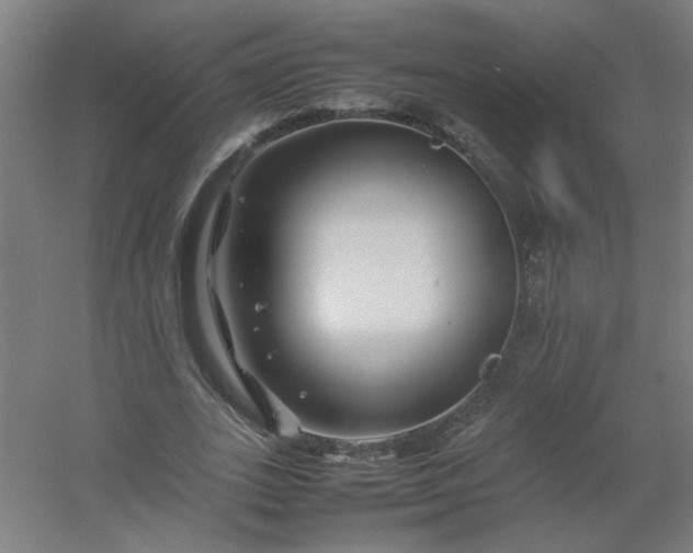 X0000054410727200508121724