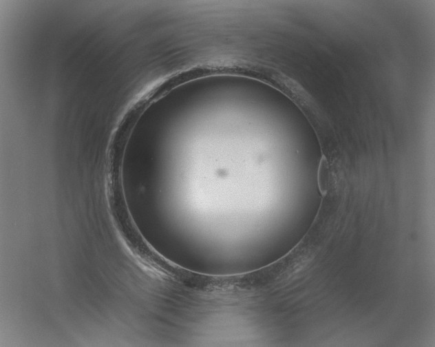 X0000054410728200508121724