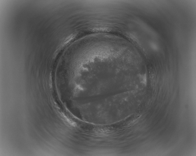 X0000054410729200508121724