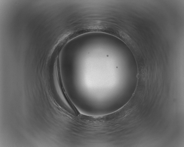 X0000054410731200508121724