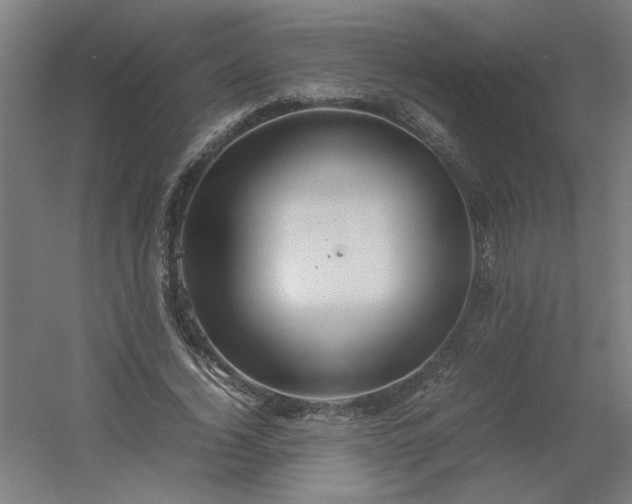 X0000054410732200508121724