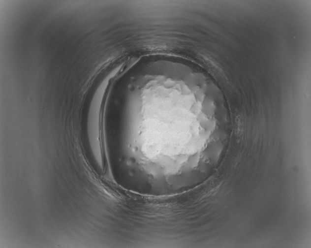 X0000054410733200508121724