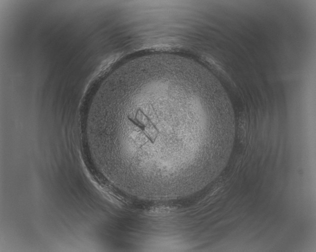 X0000054410734200508121724