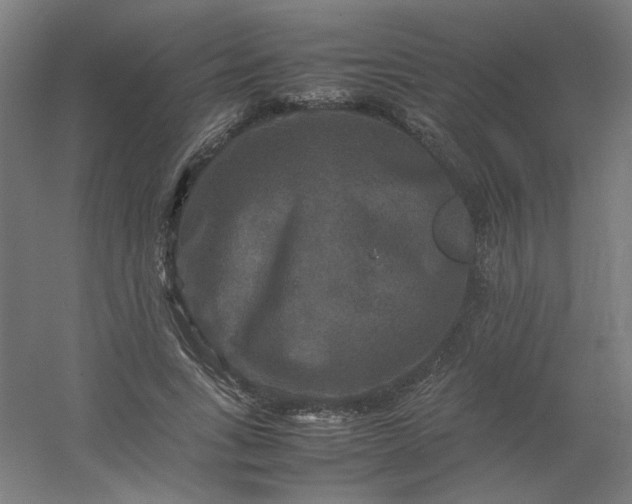 X0000054410735200508121724