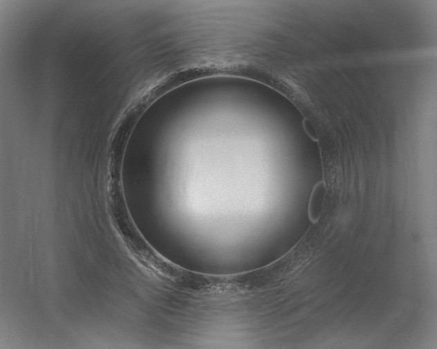 X0000054410736200508121724