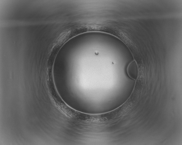 X0000054410738200508121724