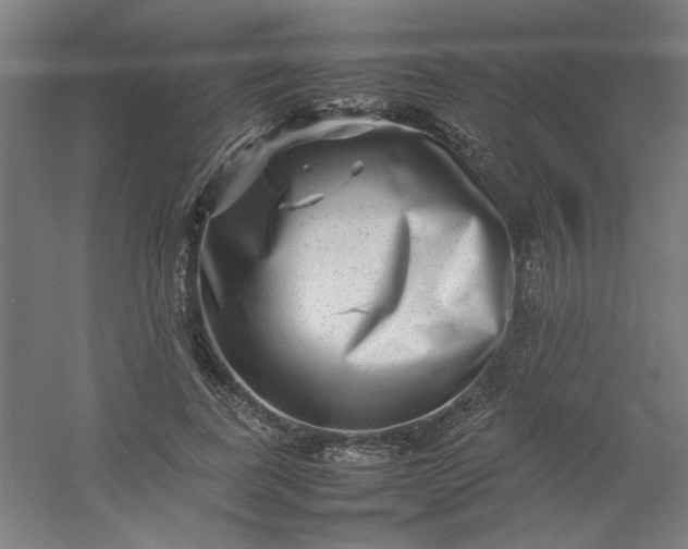 X0000054410739200508121724