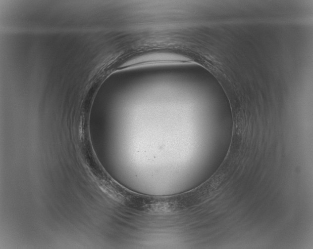 X0000054410740200508121724