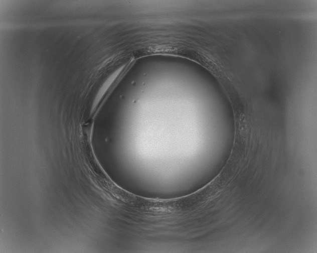 X0000054410741200508121724