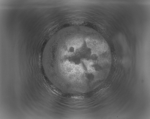 X0000054410745200508121725