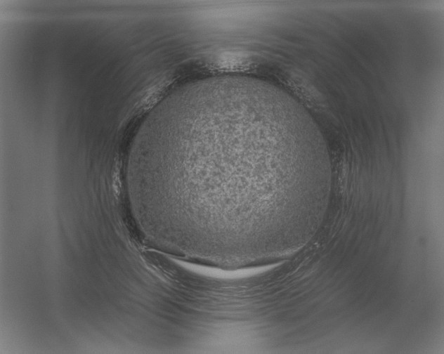 X0000054410746200508121725