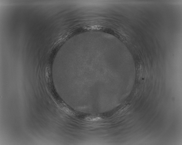 X0000054410747200508121725