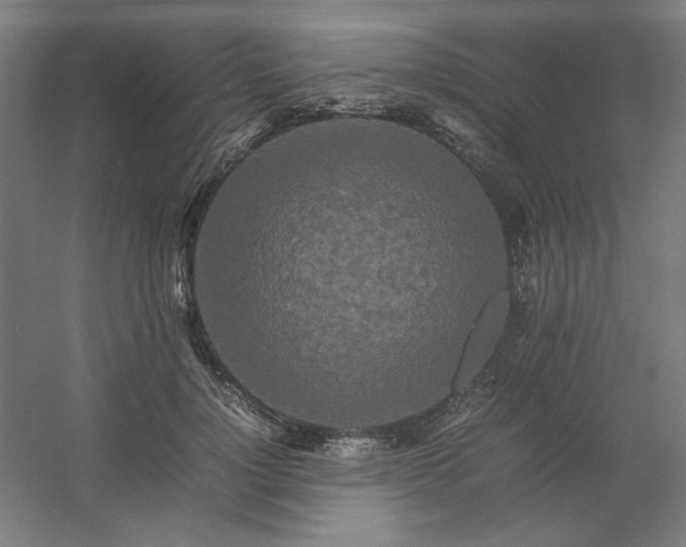 X0000054410748200508121725