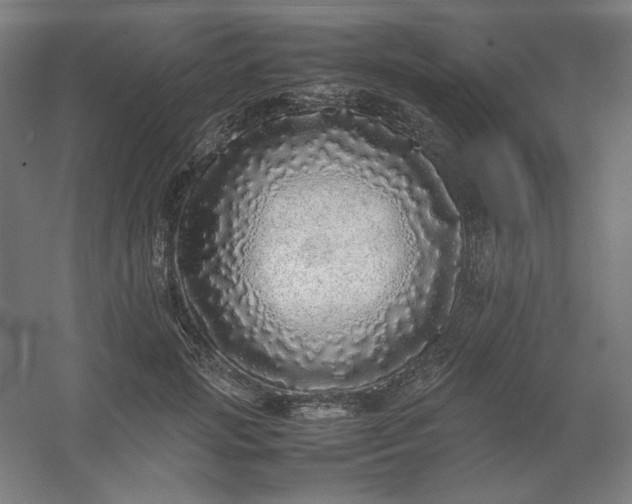 X0000054410749200508121725