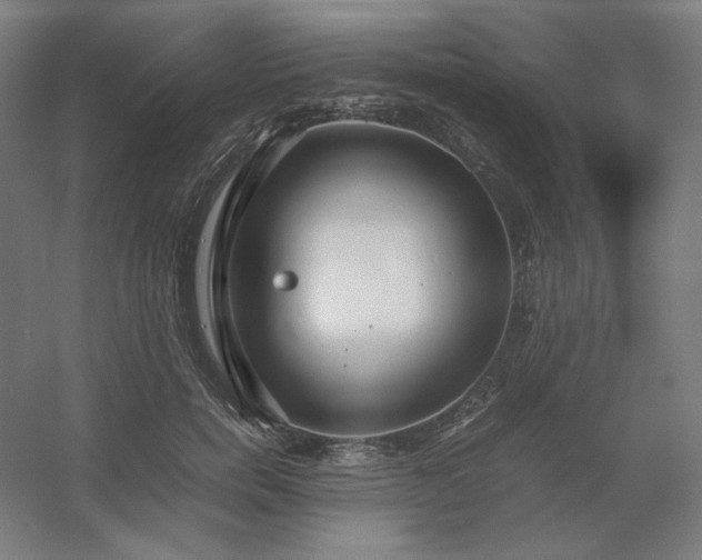 X0000054410750200508121725