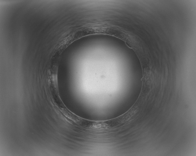 X0000054410752200508121725