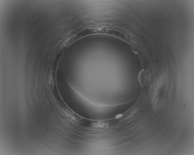 X0000054410754200508121725