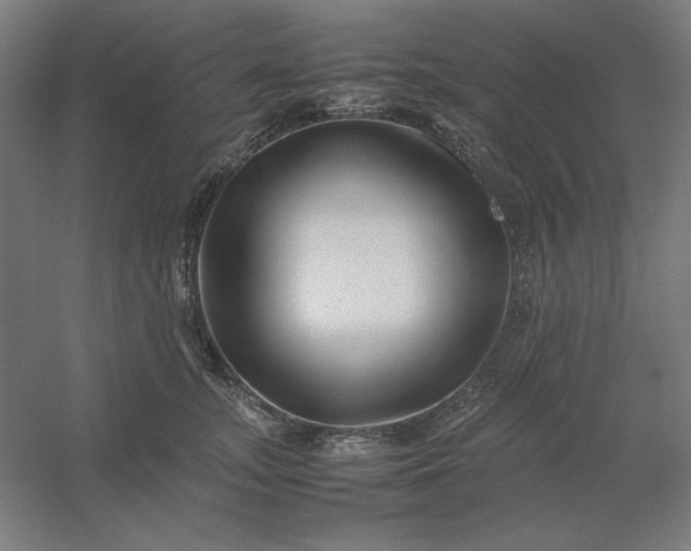 X0000054410755200508121725