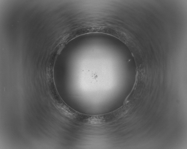 X0000054410756200508121725