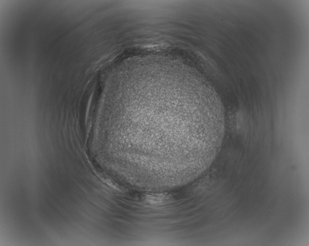 X0000054410757200508121725