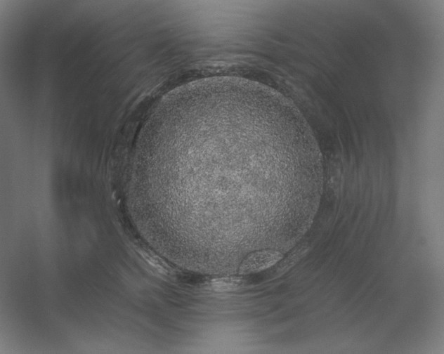 X0000054410758200508121725