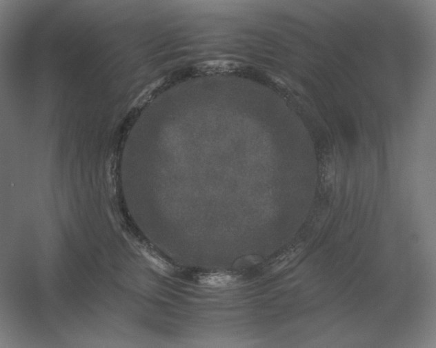 X0000054410759200508121725