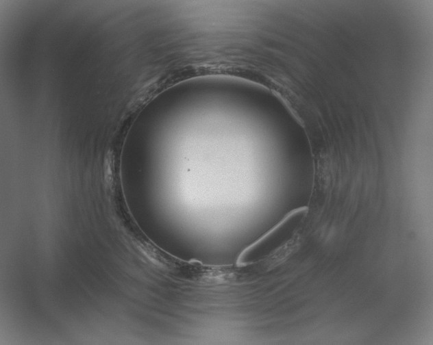 X0000054410760200508121725