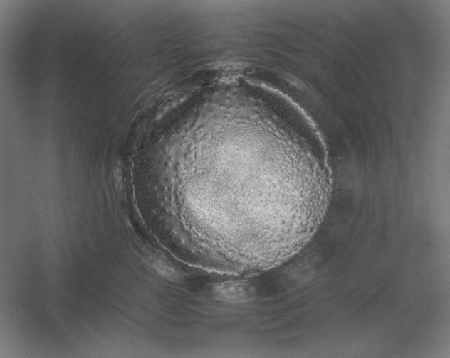 X0000054410761200508121725