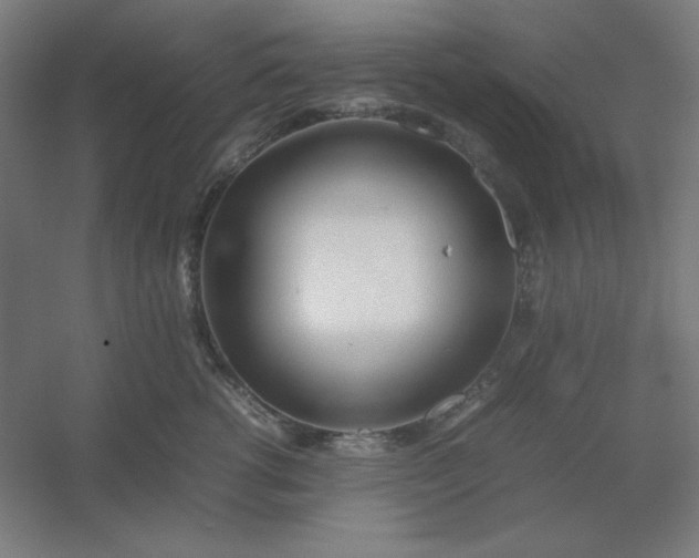 X0000054410762200508121725