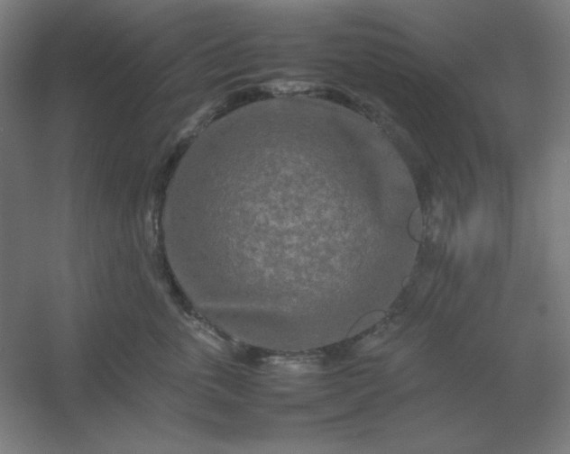 X0000054410763200508121725