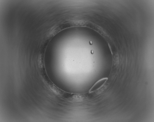 X0000054410764200508121725