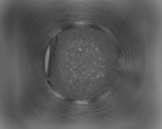 X0000054410765200508121725