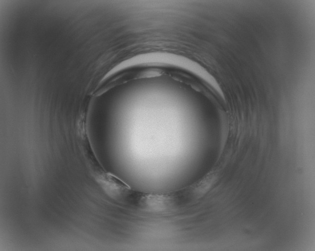 X0000054410766200508121725