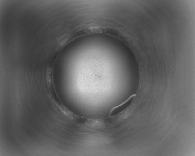 X0000054410768200508121725