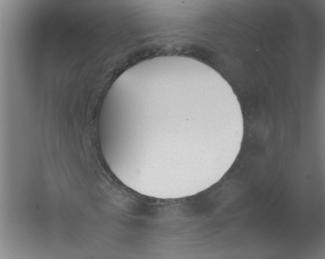 X0000054410769200508121724