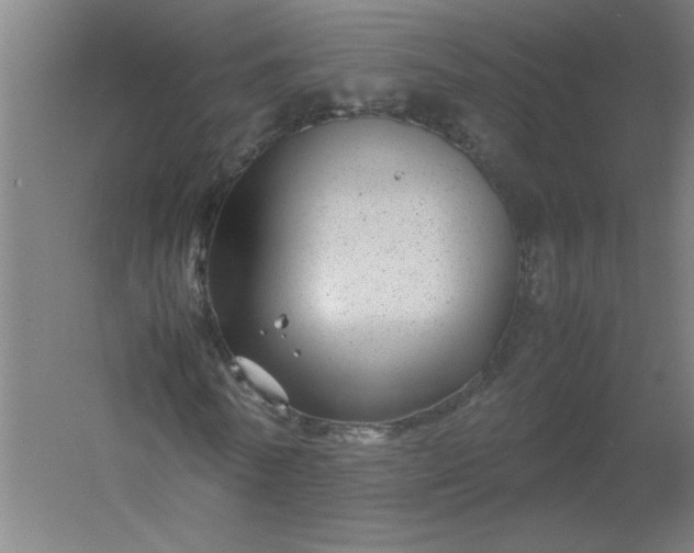 X0000054410770200508121724