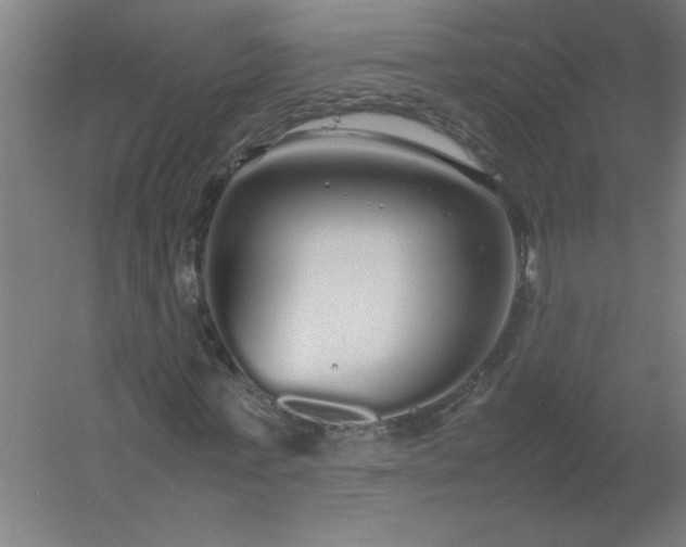 X0000054410771200508121724