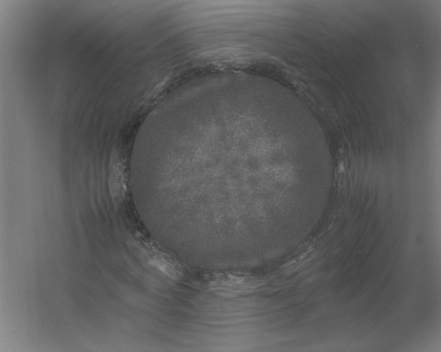 X0000054410772200508121724