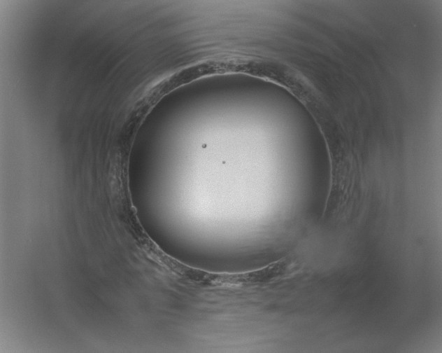 X0000054410773200508121724