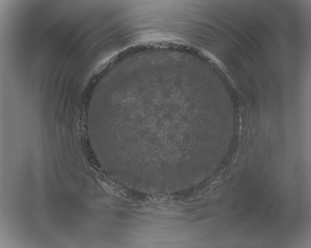 X0000054410775200508121724