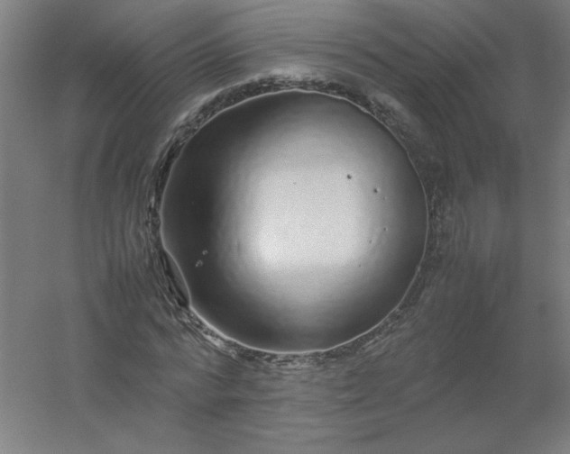 X0000054410776200508121724