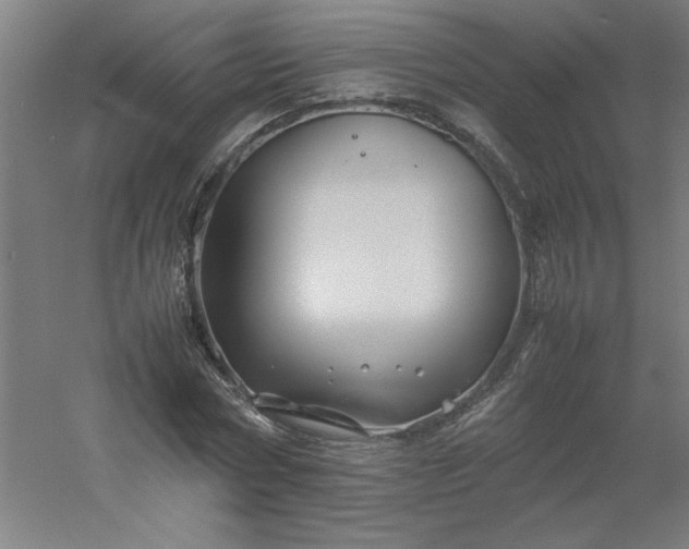 X0000054410778200508121724