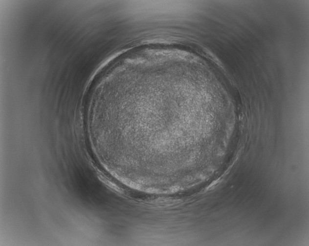 X0000054410779200508121724