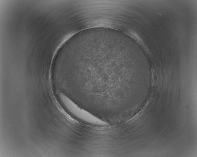 X0000054410780200508121724